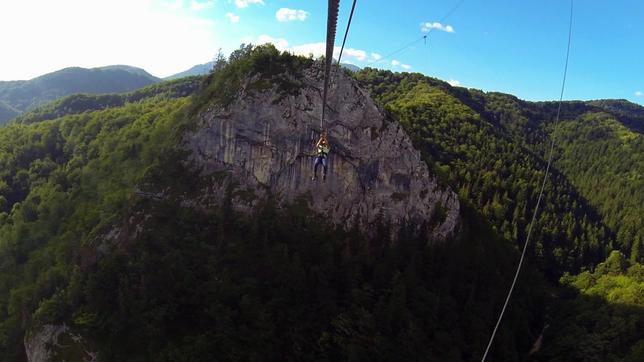 Flying Fox