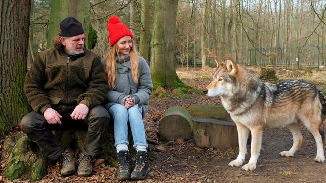 Jana und der Wolfsexperte Matthias sitzen auf einem Baumstumpf im Wolfsgehege.