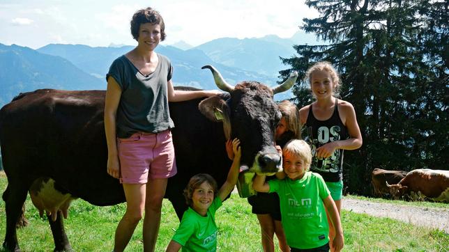 Malin (l) auf der Weide, mit Hannes, Linda, Magdalena und Roman, versammelt um eine Kuh.