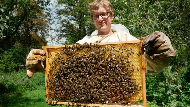 Robert in Schutzkleidung und mit einem sogenannten „Rähmchen“ voller Honigbienen.