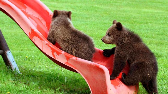 Ein Spielplatz ist nicht nur für Kinder ein Abenteuer. Weiteres Bildmaterial finden Sie unter www.br-foto.de.