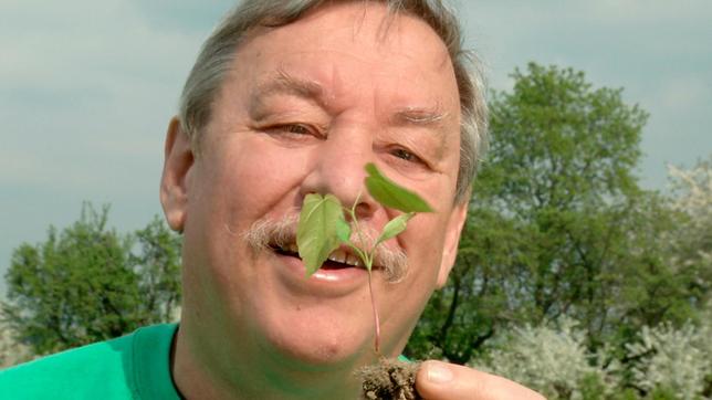 Aus der Vogelperspektive ist viel Grün ist in der Stadt zu entdecken. Nur das Neubaugebiet ist ganz grau. Klarer Fall für Christoph: Hier fehlen noch Bäume! In der Baumschule trifft er auf den Baumexperten Christoph und erfährt von ihm, dass nur ganz bestimmte Exemplare überhaupt in der Stadt Wurzeln schlagen dürfen. Der Förster im Wald sucht einen besonders gerade gewachsenen Baum aus. Doch der wird nicht einfach versetzt. Aus seinen Samen wachsen in der Baumschule viele kleine Pflanzen heran.