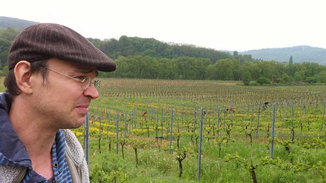 Weinbauer Armin Reis im Weinberg in Bremm.