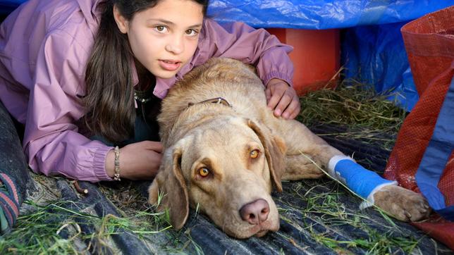 Ronja (Kaya Völkers) und Hündin Pari verstecken sich im Auto des Wilderers.