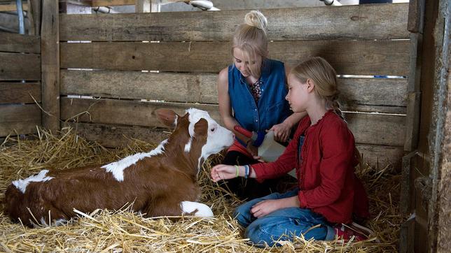 Darsteller aus &#034;Tiere bis unters Dach - Milchmädchenrechnung&#034;