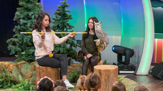 Muschda Sherzada im Gespräch mit Falknerin Vanessa Müller, Schulklassen: Fritz-Leonhardt- Realschule, Stuttgart (Tigerenten), Neue Mittelschule, Salzburg (Frösche).