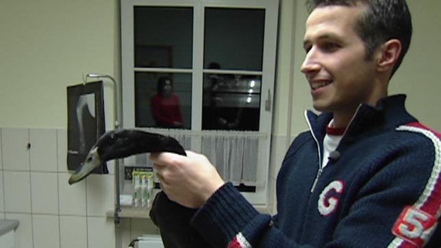 Bild: BR/megaherz gmbh Willi wills wissen Wer hilft den kranken Tieren? Willi Weitzel beim Besuch in der Tierklinik bei der Kleintiersprechstunde, wo eine Laufente mit ihrem Wehwehchen wartet.