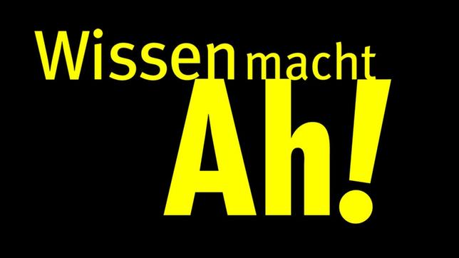 Wissen macht Ah!-Logo