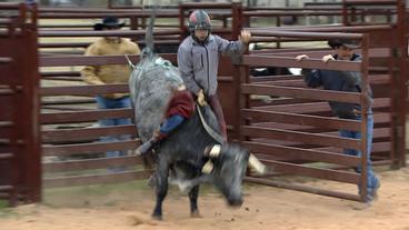 Junge beim Rodeo-Reiten