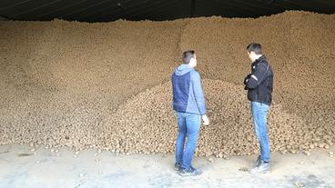 Belgien: Die Landwirte fürchten um ihre Existenz