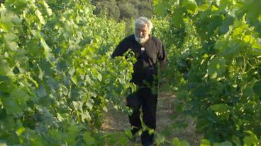 Andro Tomić im Weinberg