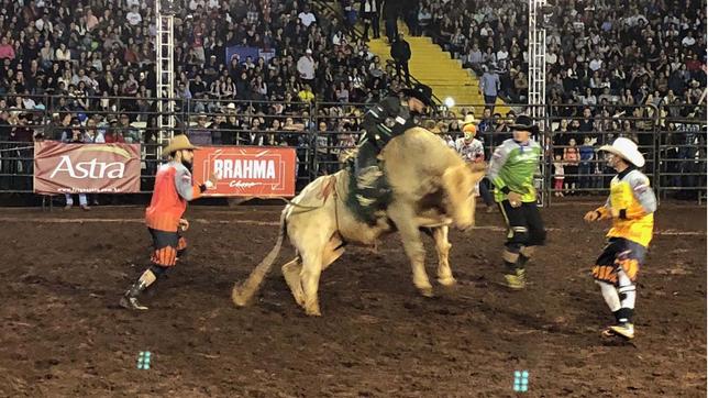 Cowboy hält Stier an den Hörnern