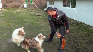 Hundezüchter trainiert Hunde