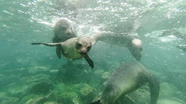 Ecuador: Galapagos – Plastikmüll ist grenzenlos