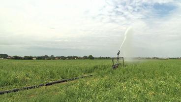 Bewässerungsanlage auf Feld 