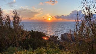 Capri: Bis spätestens zum Sommer sollen allen Bewohner*innen geimpft sein