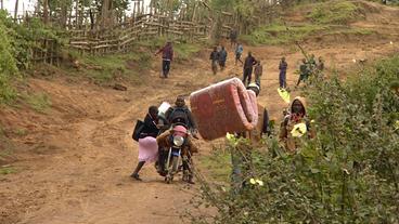 Kenia: Wo neue Bäume gepflanzt werden, müssen Menschen ihr Zuhause verlassen