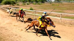 Je weniger die Pferde tragen müssen, umso schneller galoppieren sie über die staubige Piste. Manche Jockeys sind noch so jung, dass sie nicht richtig schreiben, rechnen oder lesen können. Aber sind sind meisterhafte Reiter. 