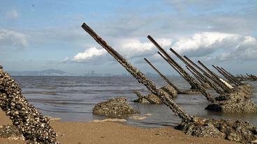 Alte Panzersperren vor Kinmen.