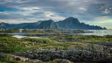 Norwegen: Die Unterwasserwelt lebt auf, da weniger Schiffe unterwegs sind