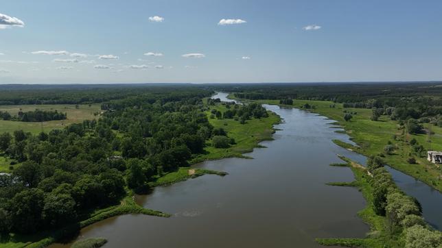 Polen: Oder – droht in diesem Sommer erneut ein Fischesterben?