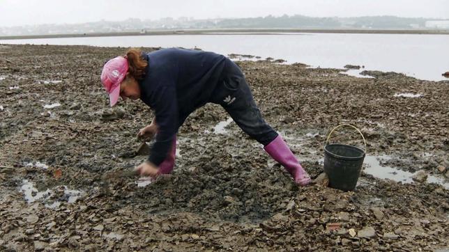 Frau sucht im Schlick des Tejo nach Muscheln 