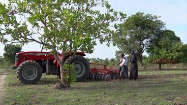 Traktor auf Feld 