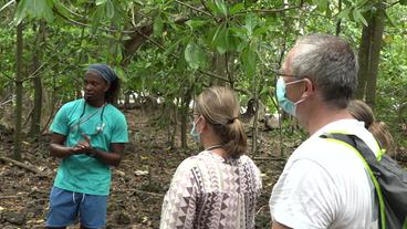 Seychellen: Touristen auf Cousin Island – 300.000 Vögel leben hier