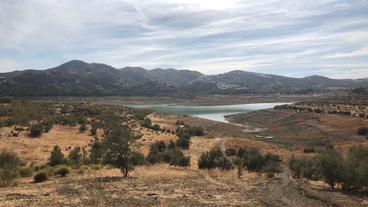 Spanien: Kaum Regen, niedrige Wasserstände: Landwirte bangen um ihre Existenz.