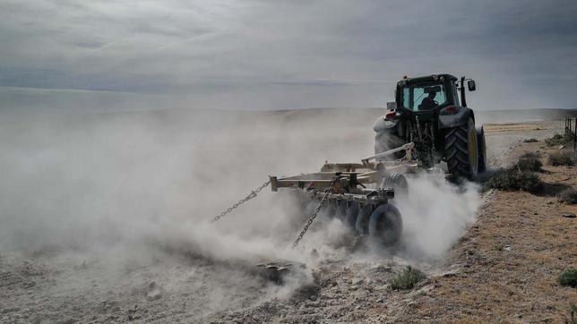 Traktor pflügt Feld um 