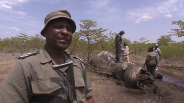 Chef-Ranger Rendani Nethengwe