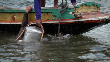 Taucher mit Helm geht ins Wasser