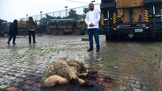 Ein geopfertes Schaf zur Versorgung der türkischen Soldaten