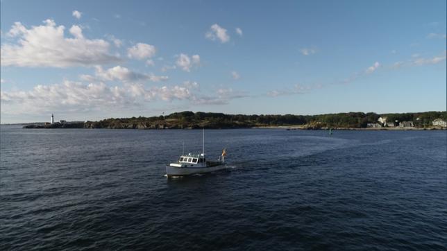 USA: Um den Hummerbestand zu sichern, ist die Fischerei in Maine streng reguliert