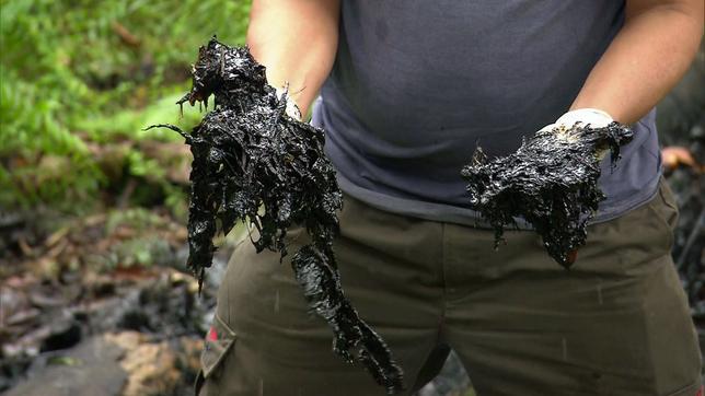 das Wasser riecht und schmeckt nach Öl