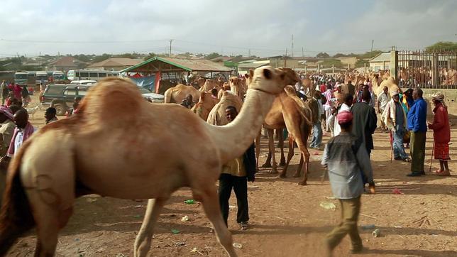 Somaliland ist international kaum anerkannt.