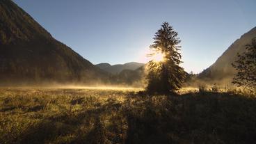 British Columbia: An die 50.000 Dollar muss ein Trophäen-Jäger hinlegen, um einen Grizzly zu erlegen.