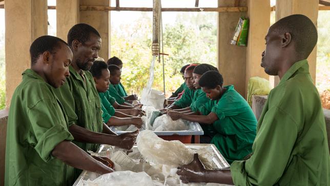 Plastik ist zum Geschäft geworden: Recycling-Fabrik Ecoplastic