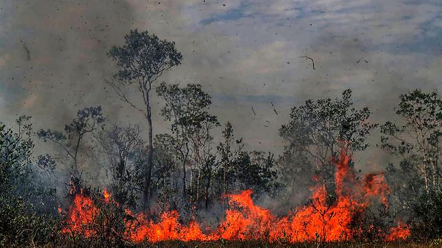 Ein Flammeninferno wütet derzeit im Amazonas.