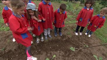 Kindergartenkinder beim Säen von Bohnen