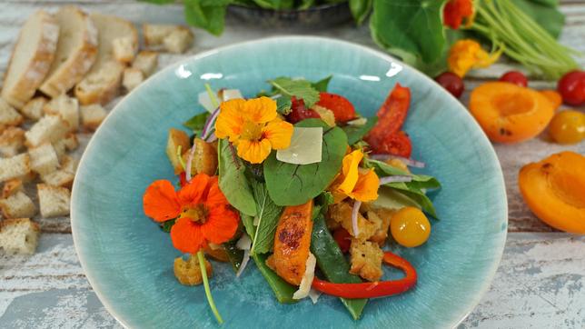 Bunter Brotsalat