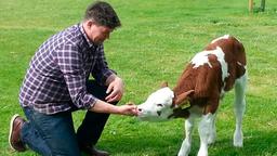  Tim Mälzer mit Kalb