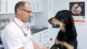 Bild: NDR/Doclights GmbH 2020 Charly hat eine dicke Backe aus dem Urlaub mitgebracht. Tobias Neuberger ist besorgt um den eigenen Hund.