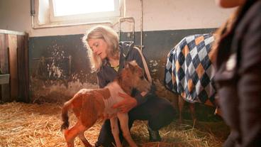 Bild: NDR/Doclights GmbH 2020 Die Tierärztin Alexandra Erbeldinger ist in großer Sorge, ob Stute und Fohlen wohlauf sind. Kurzerhand richtet sie sich ein Nachtlager im Stall ein.
