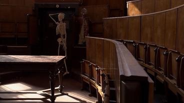 Friedrich-Kopsch-Hörsaal im Institut für Anatomie.