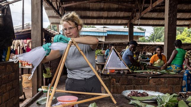 Zentralafrikanische Republik, Yanthe Nobel sammelt Fliegen auf dem Fleischmarkt oder Yanthe Nobel baut auf dem Markt ihren Fliegenfänger auf.