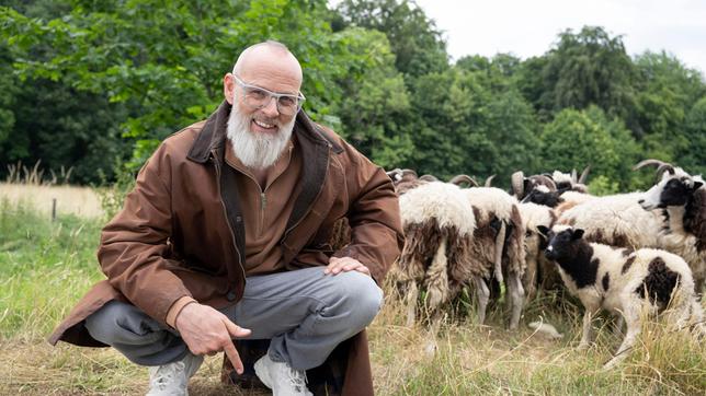 Schafe leisten auch im Naturschutz ihren Beitrag und nicht nur einen: