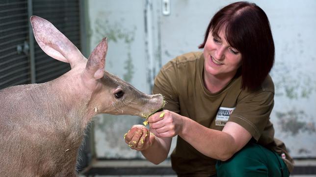 Astrid Parys mit Erdferkel