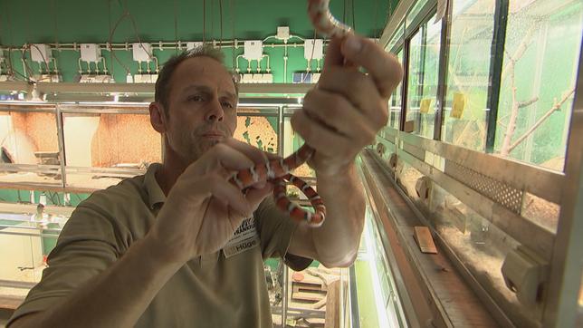 Thomas Hüge im Exotarium des Frankfurter Zoos