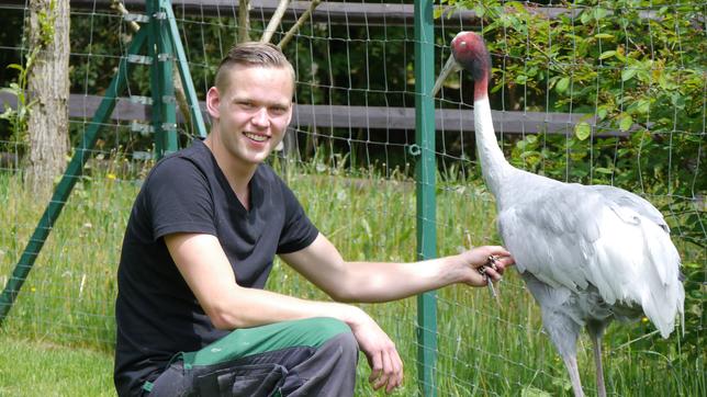 Florian Rimpler und ein Sarus-Kranich.